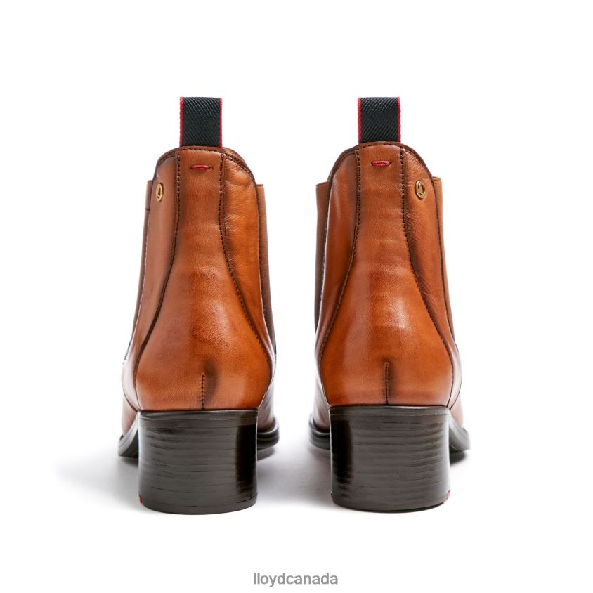 LEATHER ANKLE BOOTS LLOYD Women brown R084ZF929 Shoes