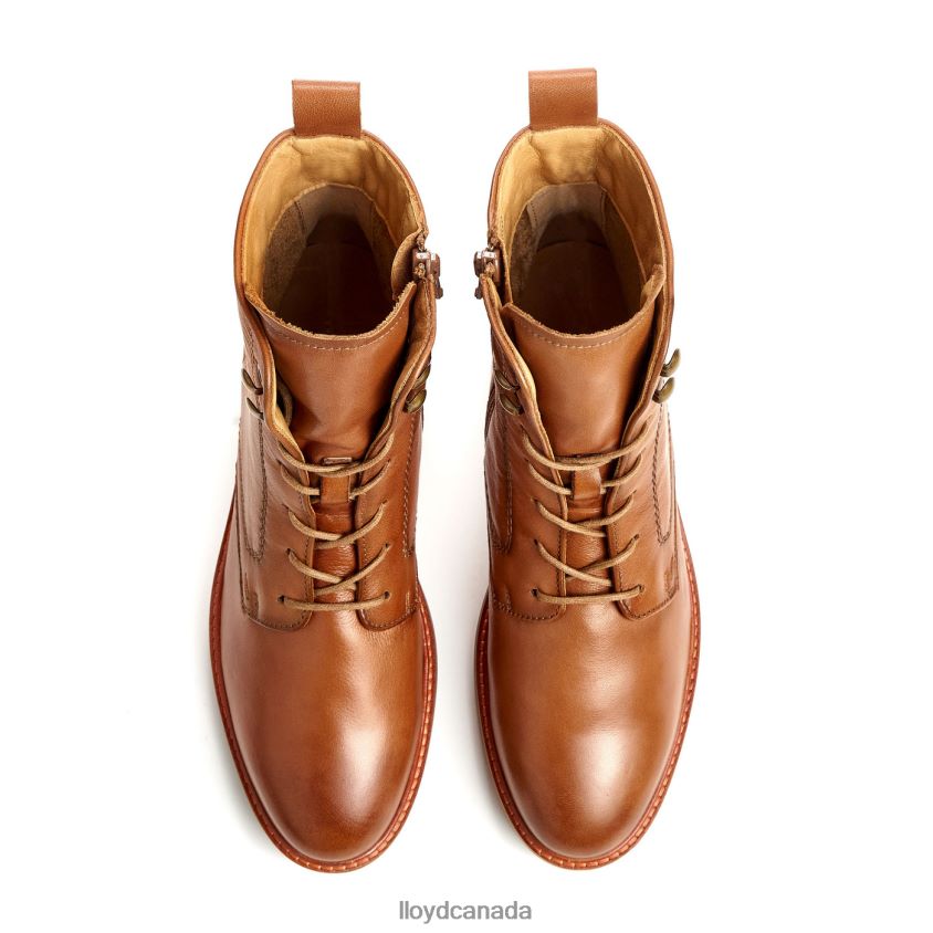 LEATHER ANKLE BOOTS LLOYD Women brown R084ZF941 Shoes