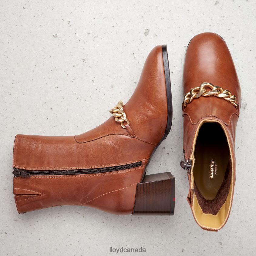 LEATHER ANKLE BOOTS LLOYD Women brown R084ZF985 Shoes