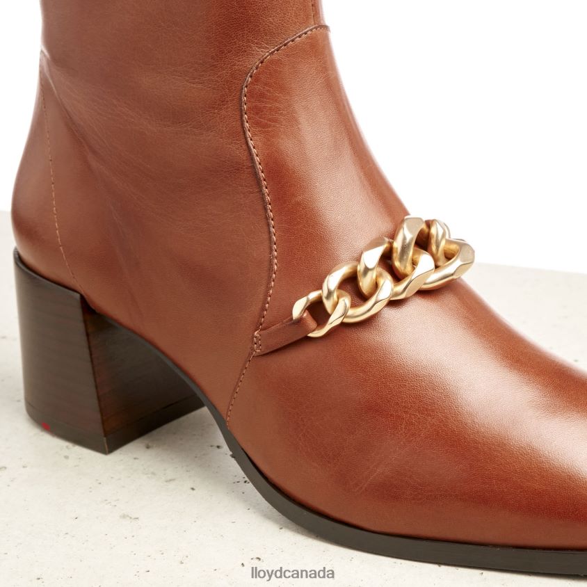 LEATHER ANKLE BOOTS LLOYD Women brown R084ZF985 Shoes