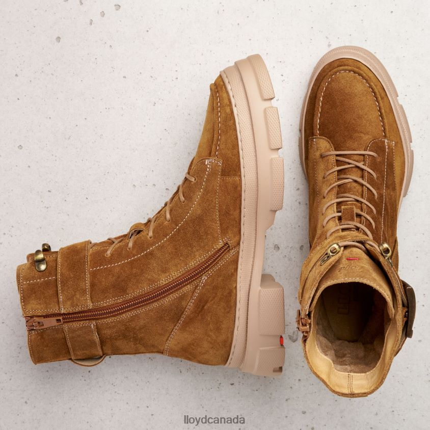 LIGHT SOLE ANKLE BOOTS LLOYD Women brown R084ZF938 Shoes