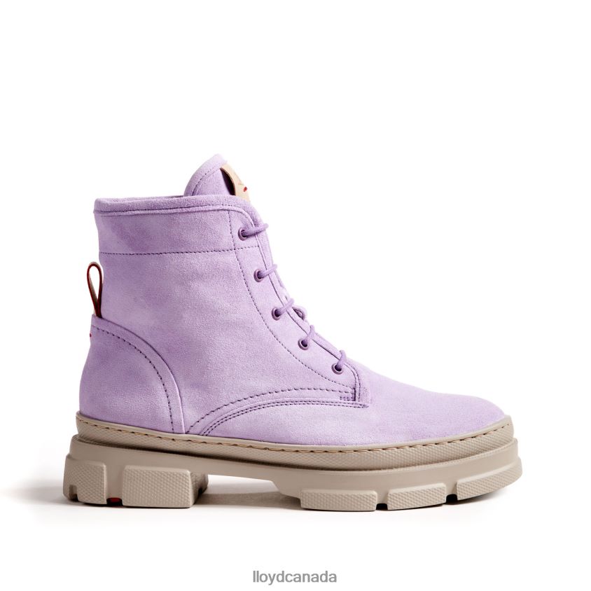 LIGHT SOLE ANKLE BOOTS LLOYD Women purple R084ZF917 Shoes