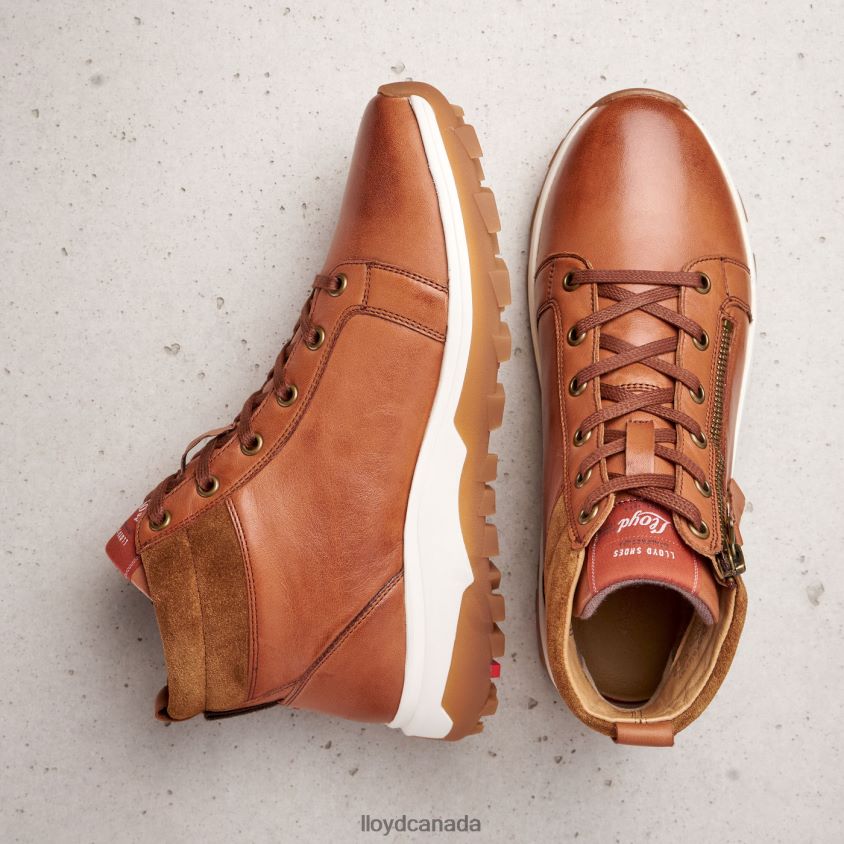 SMOOTH LEATHER ANKLE BOOTS LLOYD Women brown R084ZF866 Shoes
