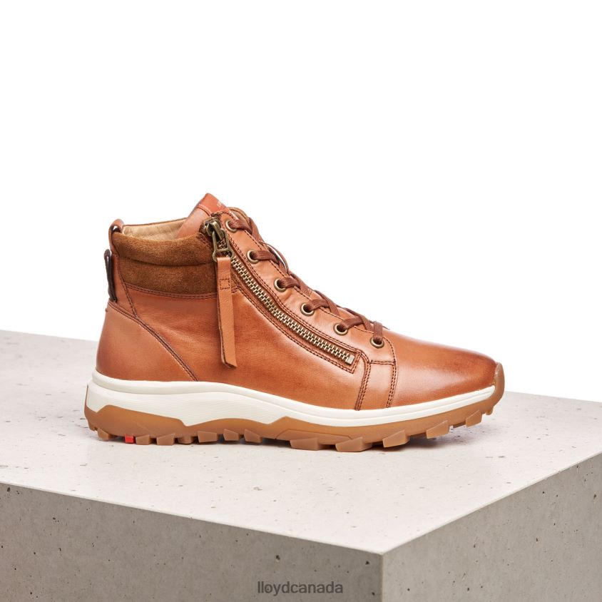 SMOOTH LEATHER ANKLE BOOTS LLOYD Women brown R084ZF866 Shoes