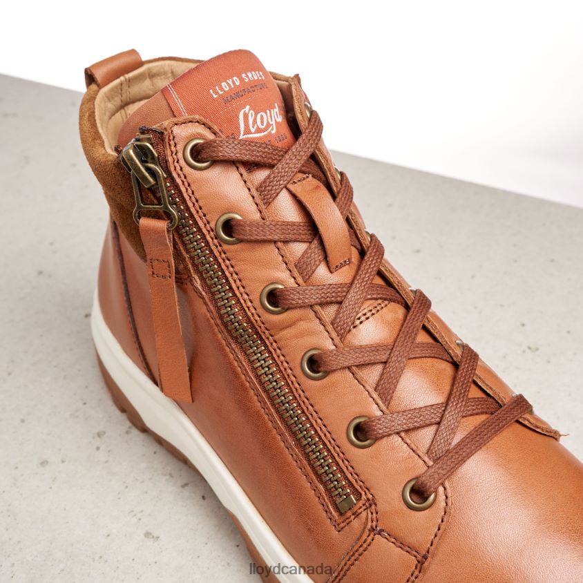 SMOOTH LEATHER ANKLE BOOTS LLOYD Women brown R084ZF866 Shoes