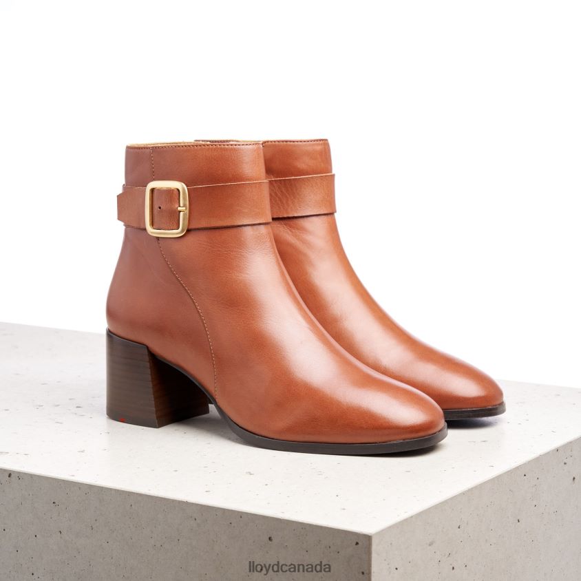 SMOOTH LEATHER ANKLE BOOTS LLOYD Women brown R084ZF968 Shoes