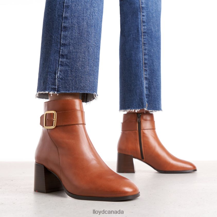 SMOOTH LEATHER ANKLE BOOTS LLOYD Women brown R084ZF968 Shoes