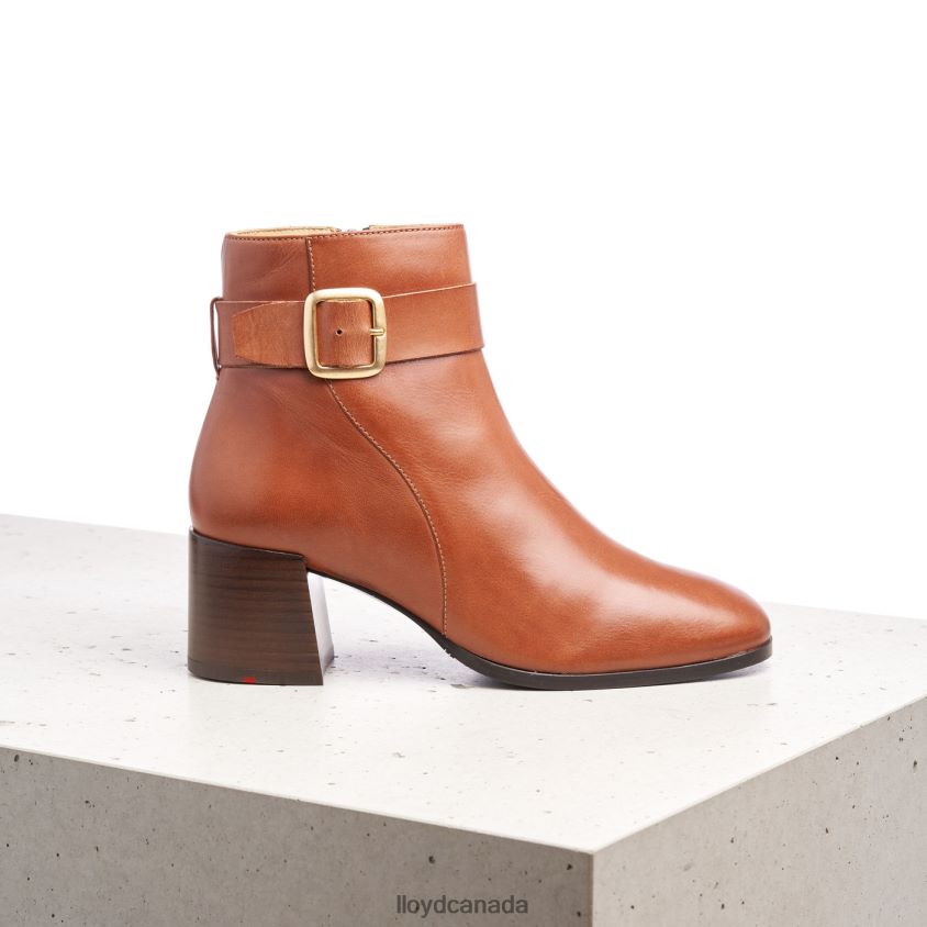 SMOOTH LEATHER ANKLE BOOTS LLOYD Women brown R084ZF968 Shoes