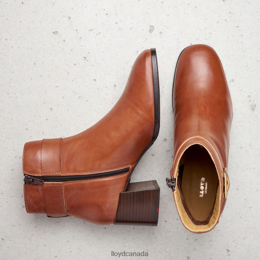 SMOOTH LEATHER ANKLE BOOTS LLOYD Women brown R084ZF968 Shoes