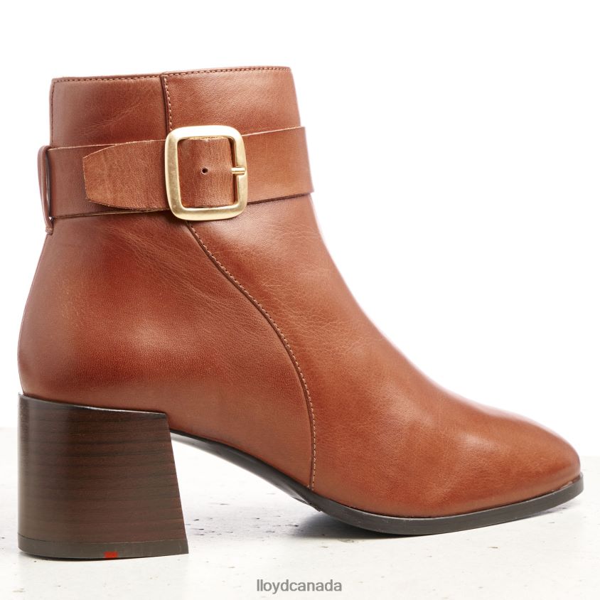 SMOOTH LEATHER ANKLE BOOTS LLOYD Women brown R084ZF968 Shoes