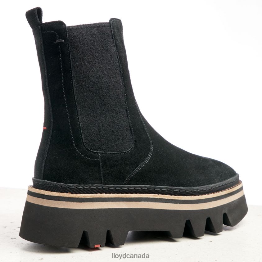 STIEFELETTE LLOYD Women black R084ZF952 Shoes