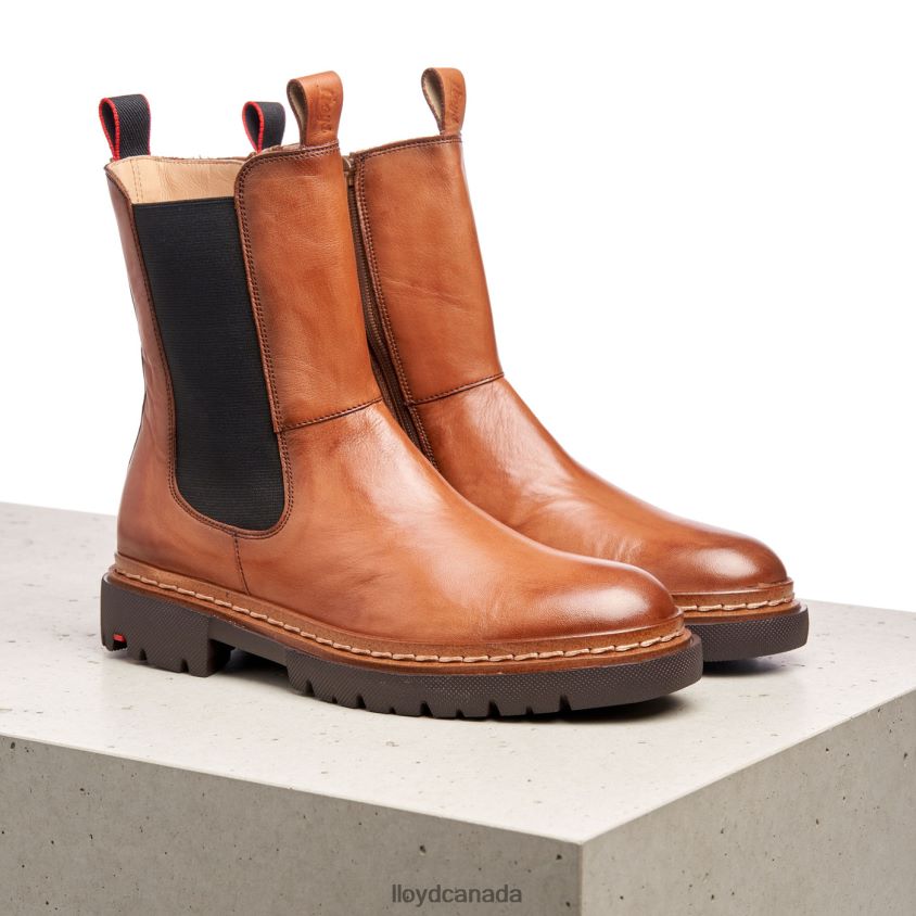 STIEFELETTE LLOYD Women brown R084ZF963 Shoes