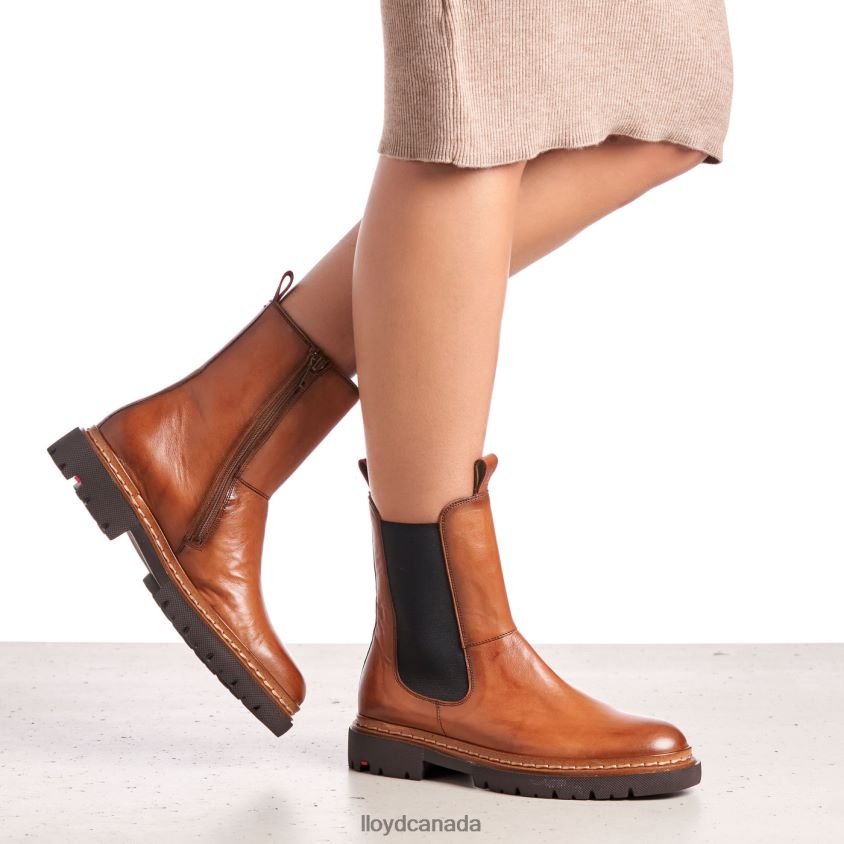 STIEFELETTE LLOYD Women brown R084ZF963 Shoes