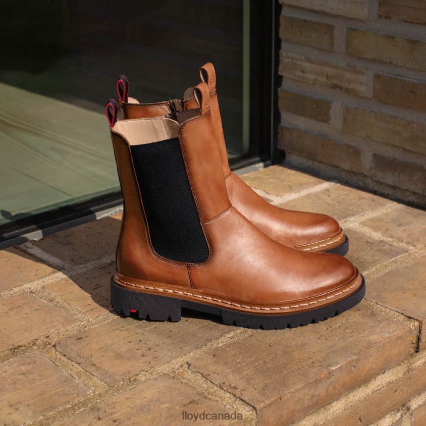 STIEFELETTE LLOYD Women brown R084ZF963 Shoes