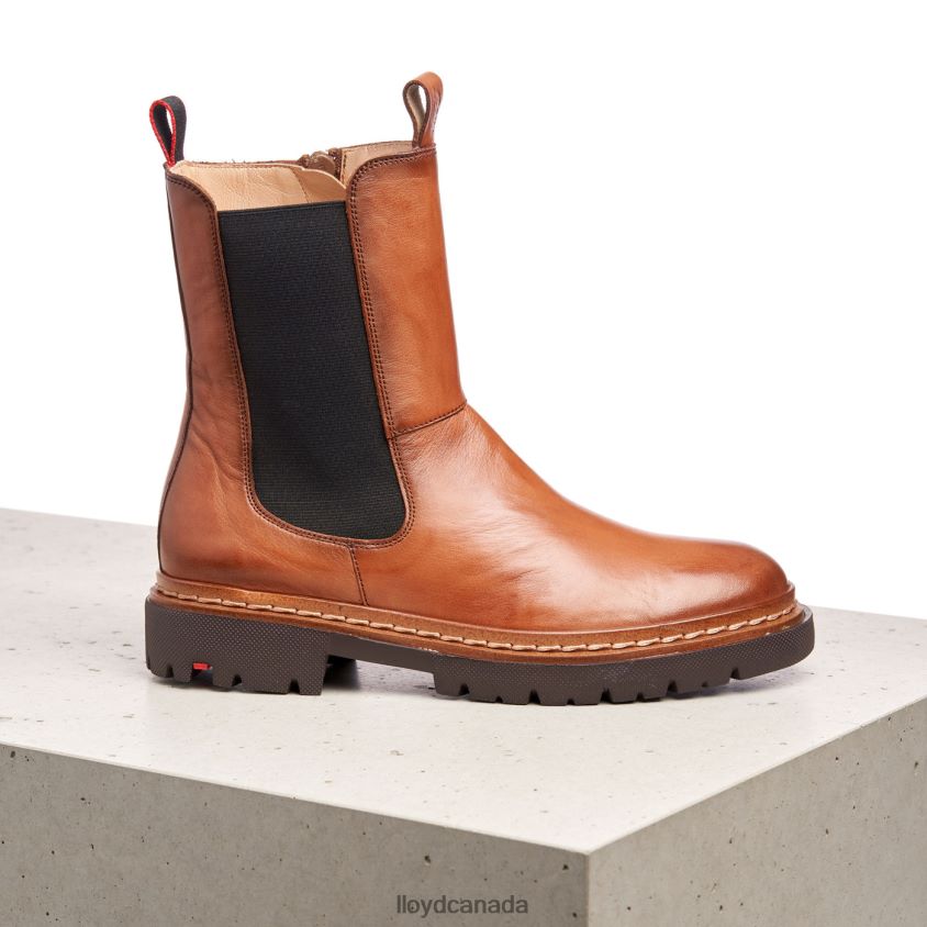 STIEFELETTE LLOYD Women brown R084ZF963 Shoes