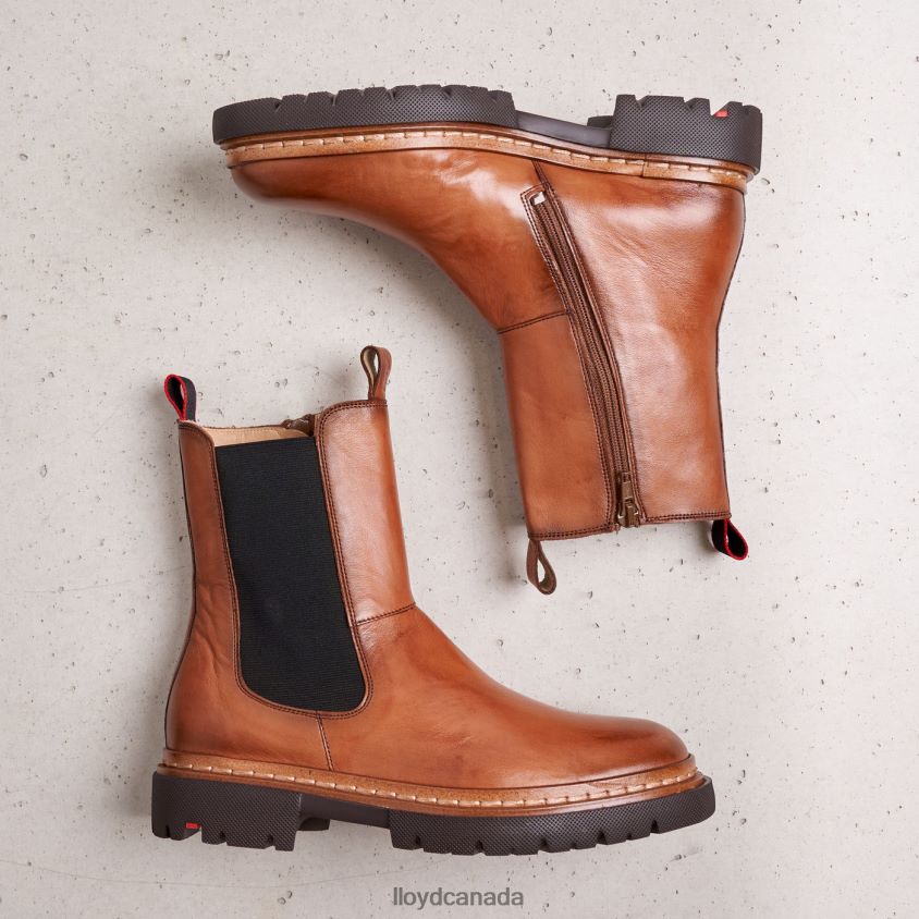 STIEFELETTE LLOYD Women brown R084ZF963 Shoes