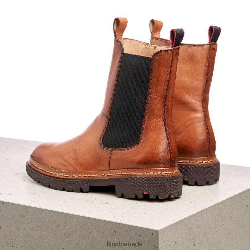 STIEFELETTE LLOYD Women brown R084ZF963 Shoes
