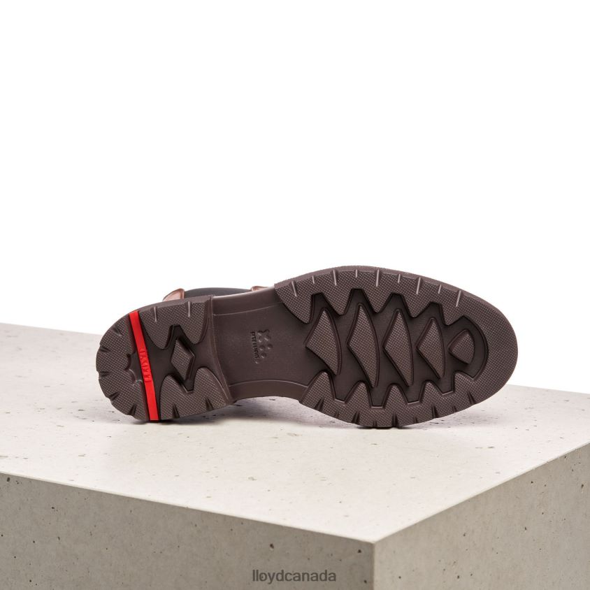 STIEFELETTE LLOYD Women brown R084ZF963 Shoes