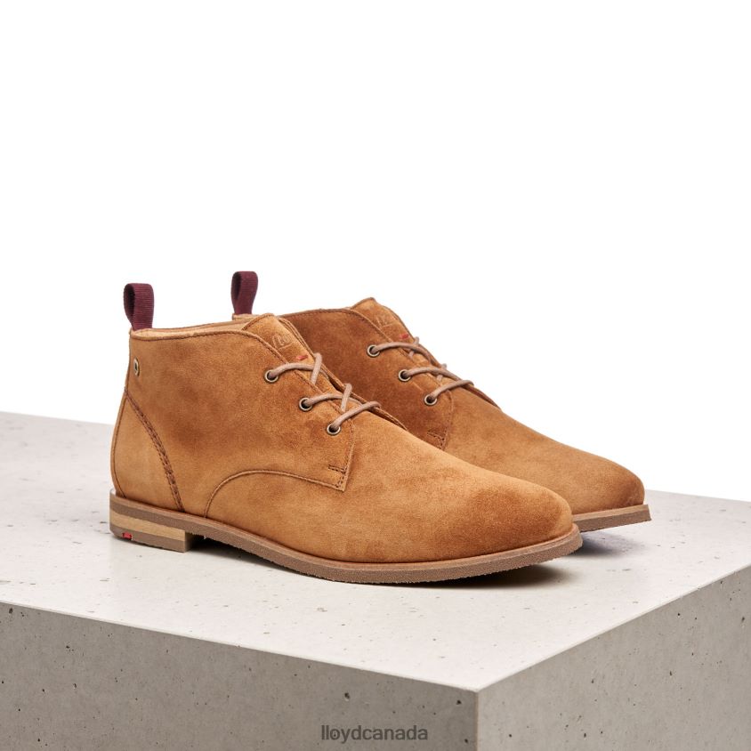 breathable ANKLE BOOTS LLOYD Women brown R084ZF874 Shoes