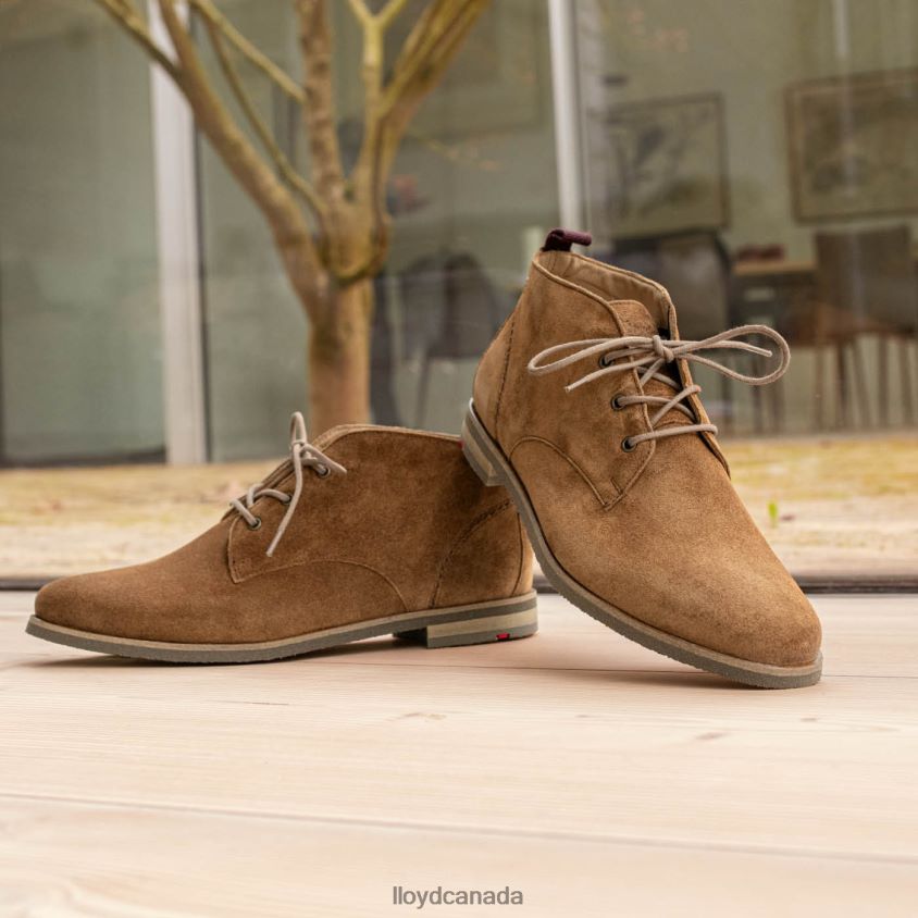 breathable ANKLE BOOTS LLOYD Women brown R084ZF874 Shoes