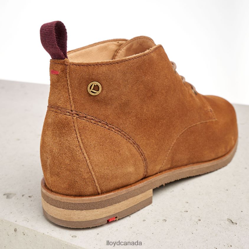 breathable ANKLE BOOTS LLOYD Women brown R084ZF874 Shoes