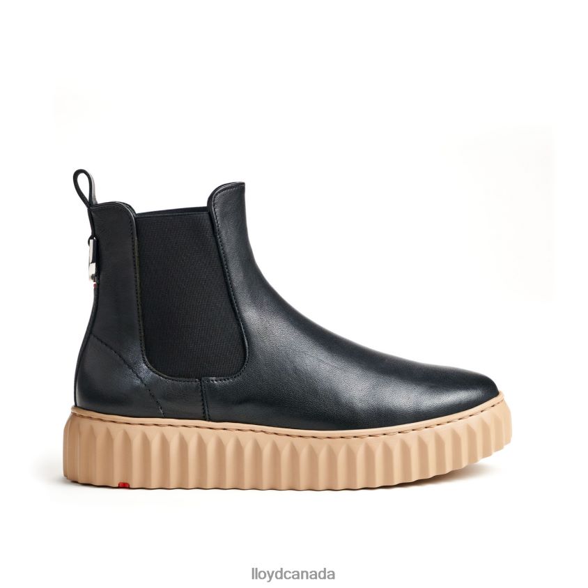 classic ANKLE BOOT LLOYD Women black R084ZF881 Shoes