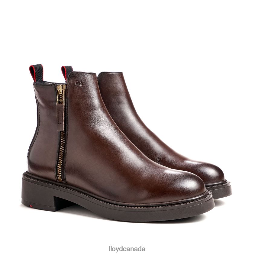 classic ANKLE BOOT LLOYD Women brown R084ZF876 Shoes