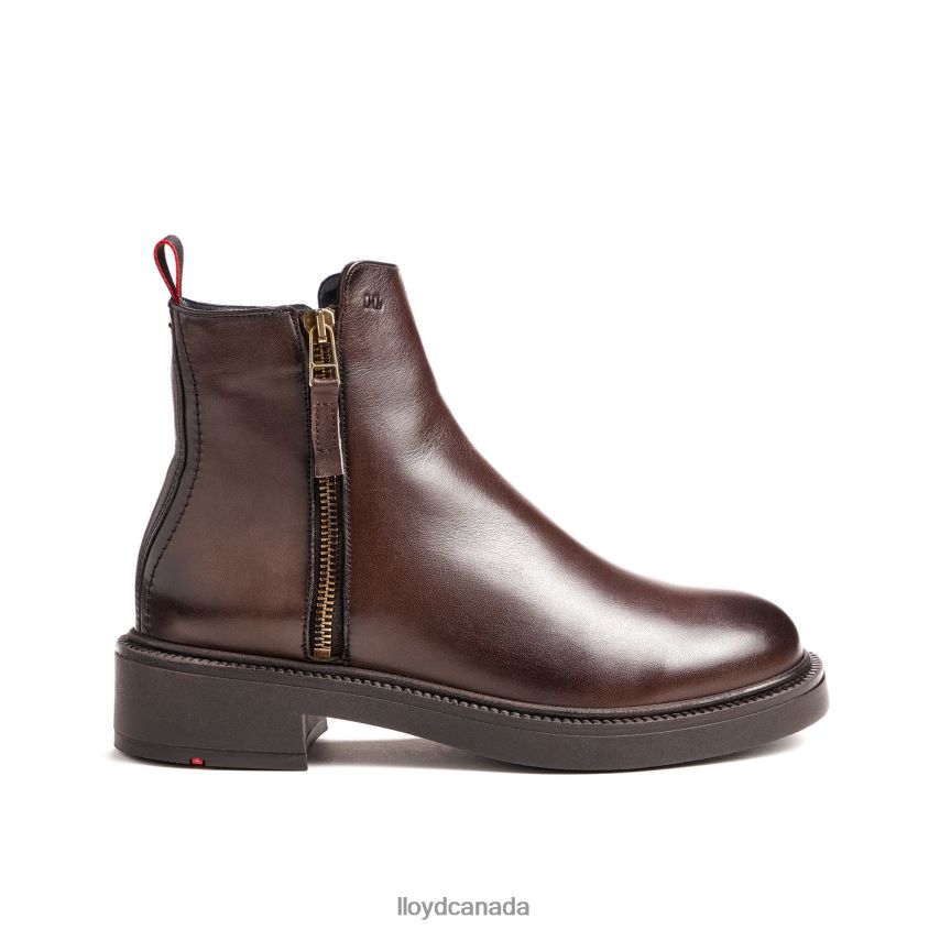 classic ANKLE BOOT LLOYD Women brown R084ZF876 Shoes