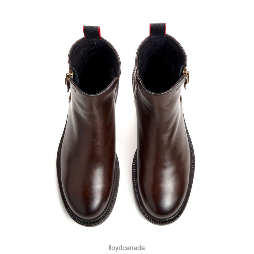classic ANKLE BOOT LLOYD Women brown R084ZF876 Shoes