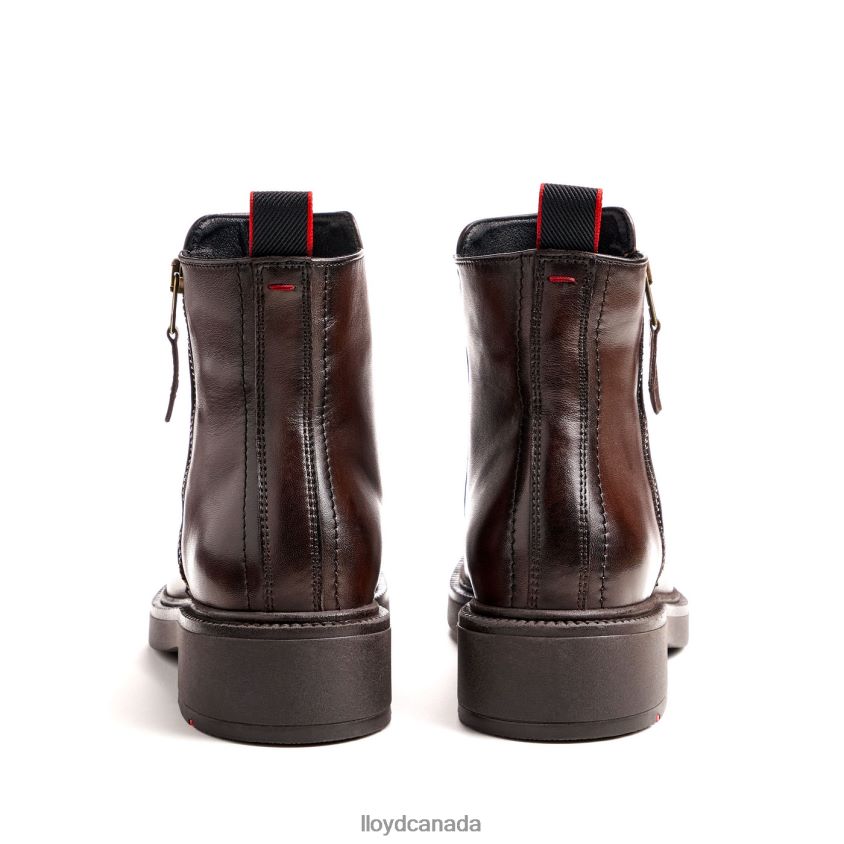 classic ANKLE BOOT LLOYD Women brown R084ZF876 Shoes