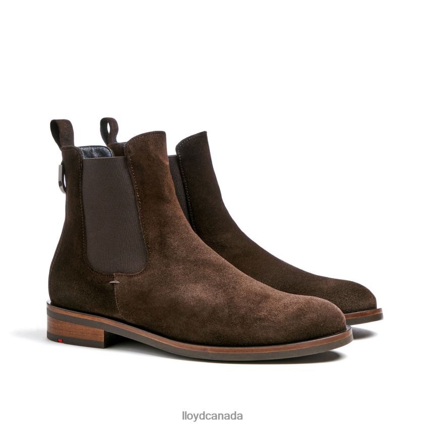 classic ANKLE BOOT LLOYD Women brown R084ZF898 Shoes