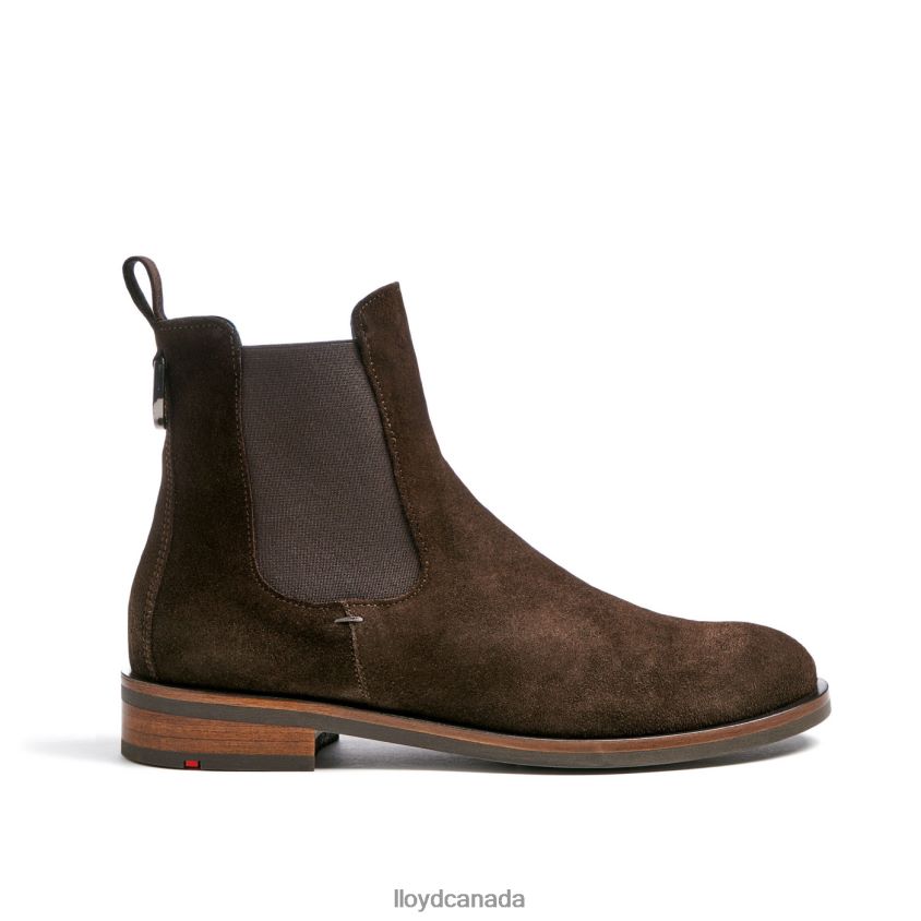 classic ANKLE BOOT LLOYD Women brown R084ZF898 Shoes
