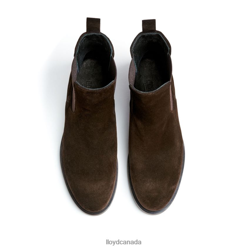 classic ANKLE BOOT LLOYD Women brown R084ZF898 Shoes