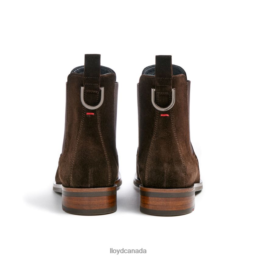 classic ANKLE BOOT LLOYD Women brown R084ZF898 Shoes