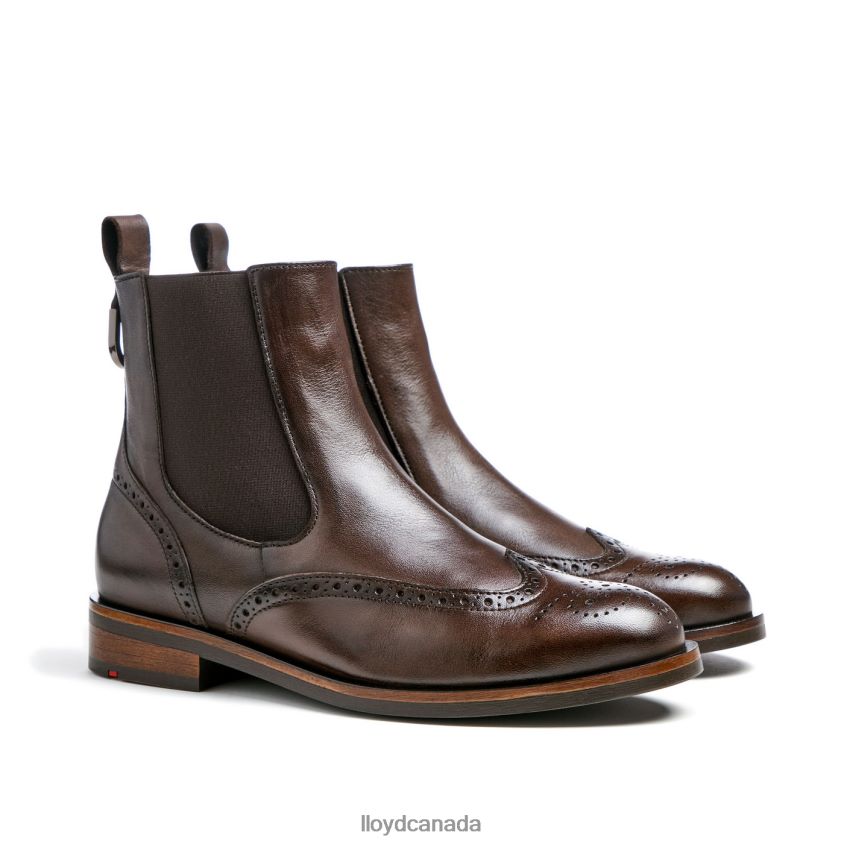 classic ANKLE BOOT LLOYD Women brown R084ZF905 Shoes