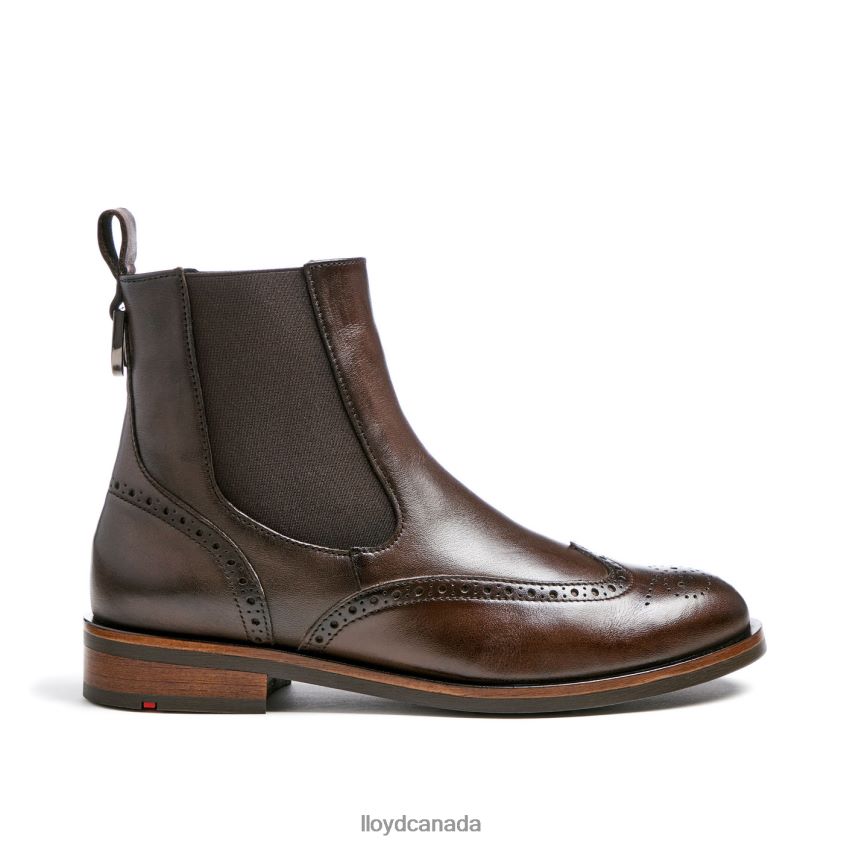 classic ANKLE BOOT LLOYD Women brown R084ZF905 Shoes