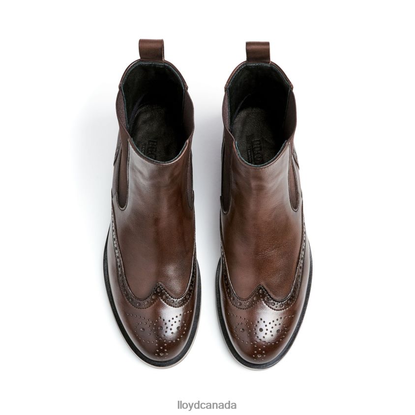 classic ANKLE BOOT LLOYD Women brown R084ZF905 Shoes