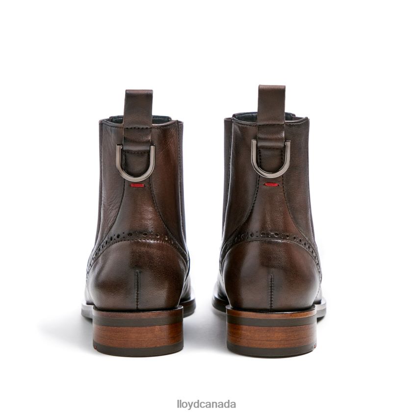classic ANKLE BOOT LLOYD Women brown R084ZF905 Shoes