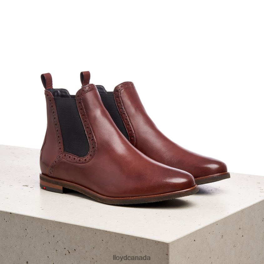 easy slipping-into ANKLE BOOTS LLOYD Women brown R084ZF1004 Shoes