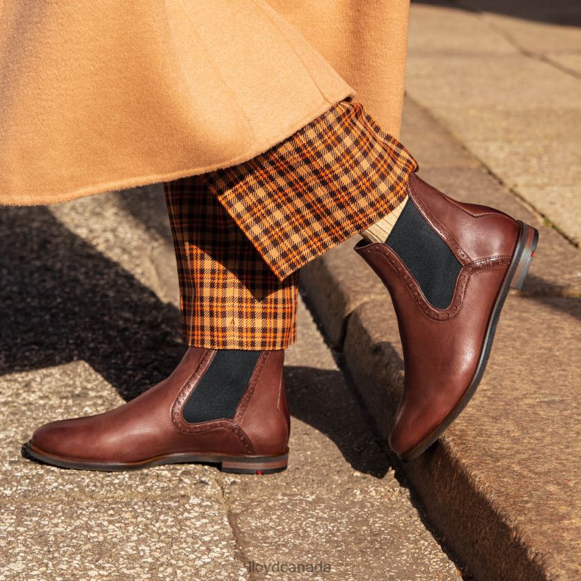 easy slipping-into ANKLE BOOTS LLOYD Women brown R084ZF1004 Shoes