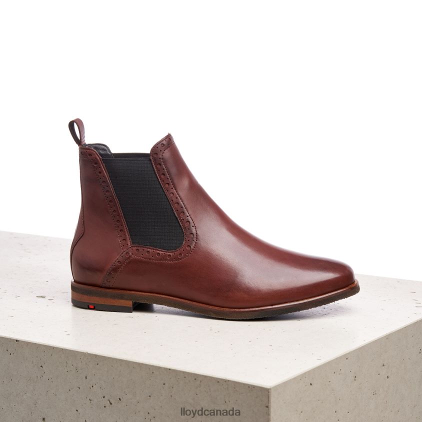 easy slipping-into ANKLE BOOTS LLOYD Women brown R084ZF1004 Shoes