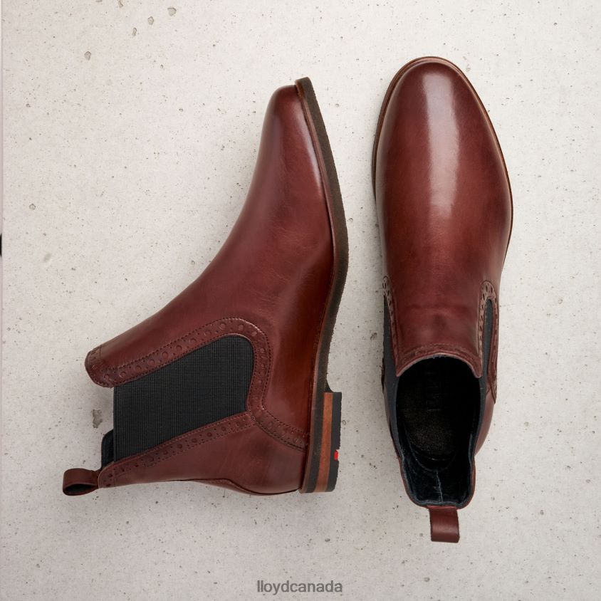 easy slipping-into ANKLE BOOTS LLOYD Women brown R084ZF1004 Shoes
