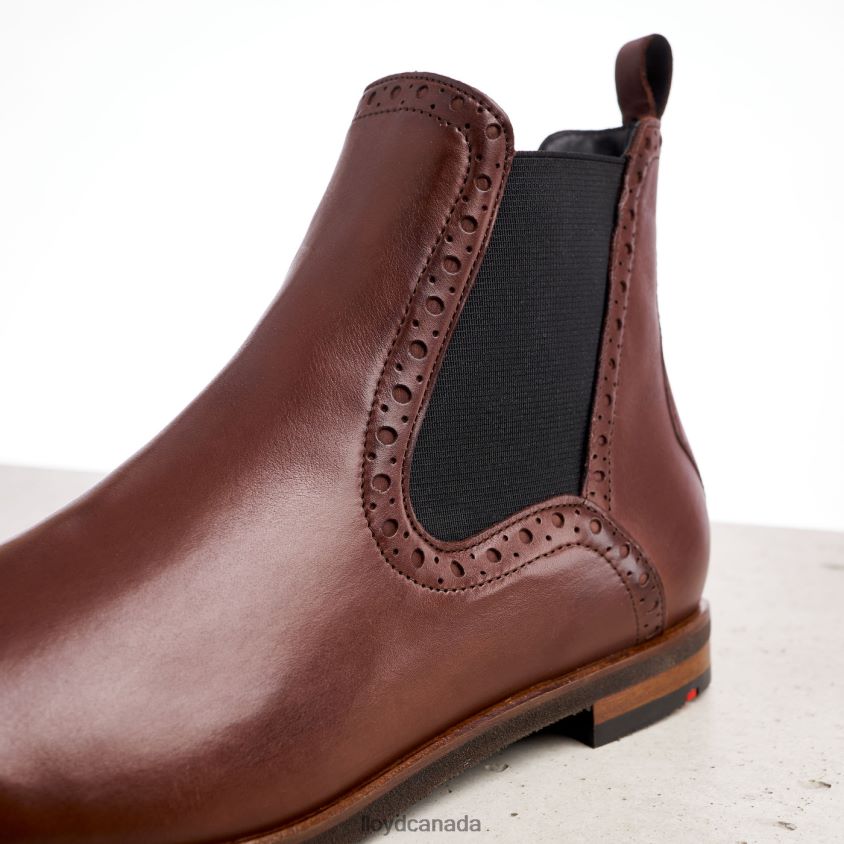 easy slipping-into ANKLE BOOTS LLOYD Women brown R084ZF1004 Shoes