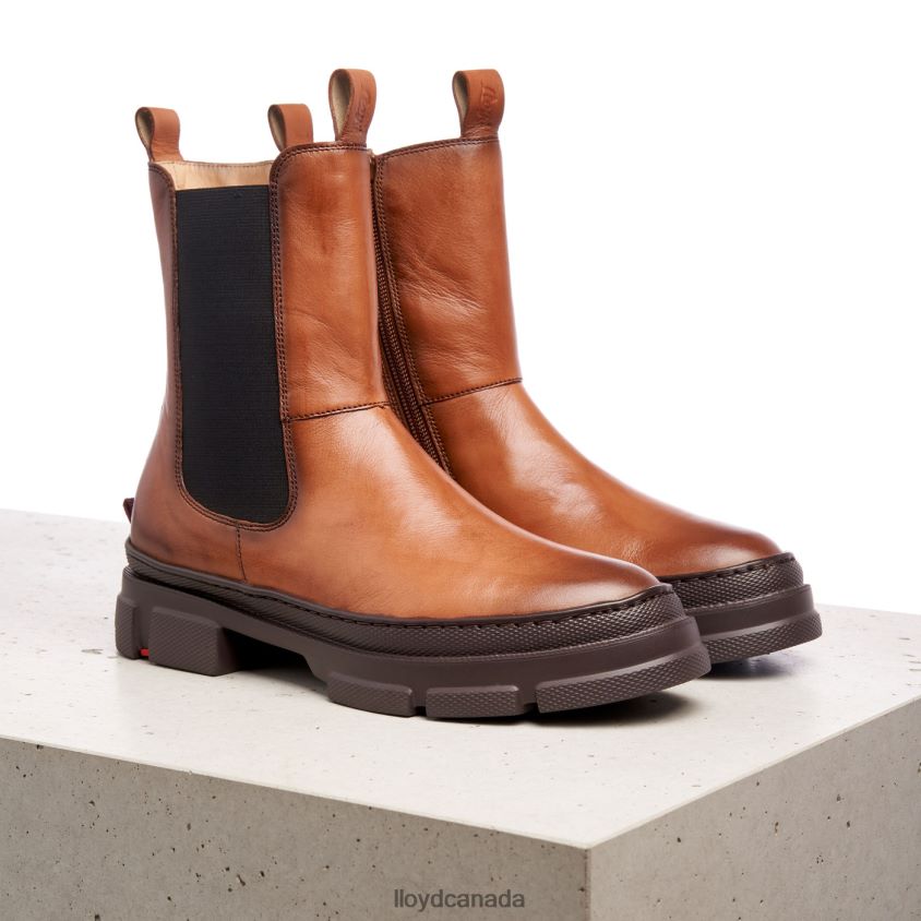 easy slipping-into ANKLE BOOTS LLOYD Women brown R084ZF987 Shoes