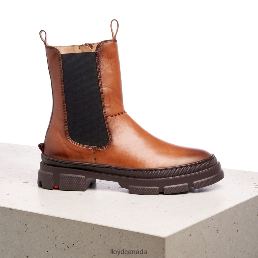 easy slipping-into ANKLE BOOTS LLOYD Women brown R084ZF987 Shoes
