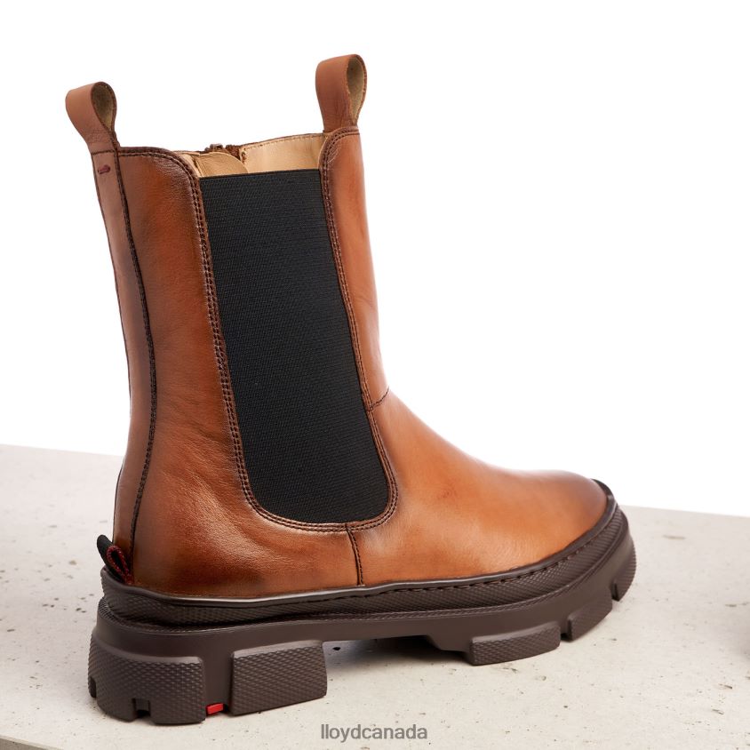 easy slipping-into ANKLE BOOTS LLOYD Women brown R084ZF987 Shoes