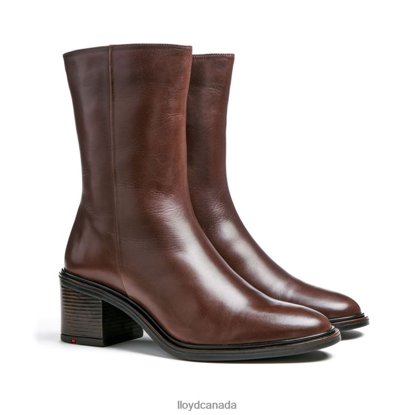 fashion leather ANKLE BOOT LLOYD Women brown R084ZF886 Shoes
