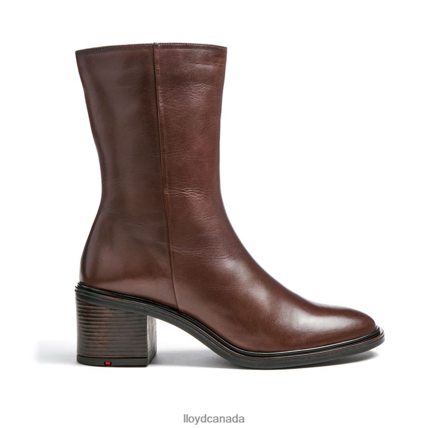 fashion leather ANKLE BOOT LLOYD Women brown R084ZF886 Shoes