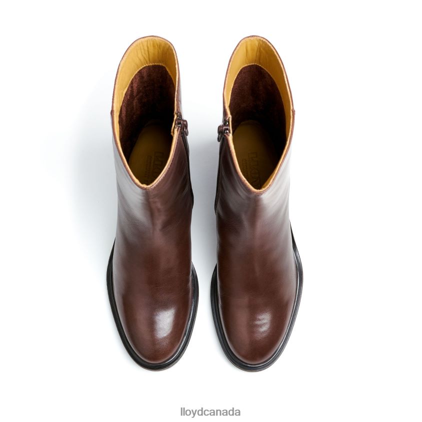 fashion leather ANKLE BOOT LLOYD Women brown R084ZF886 Shoes