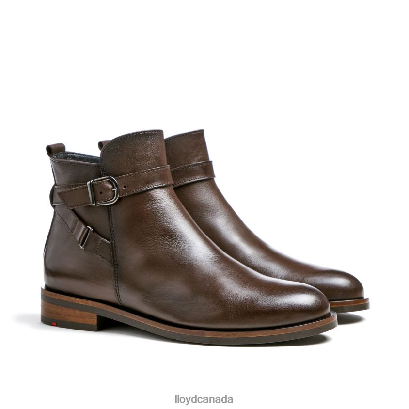 fashion leather ANKLE BOOT LLOYD Women brown R084ZF899 Shoes